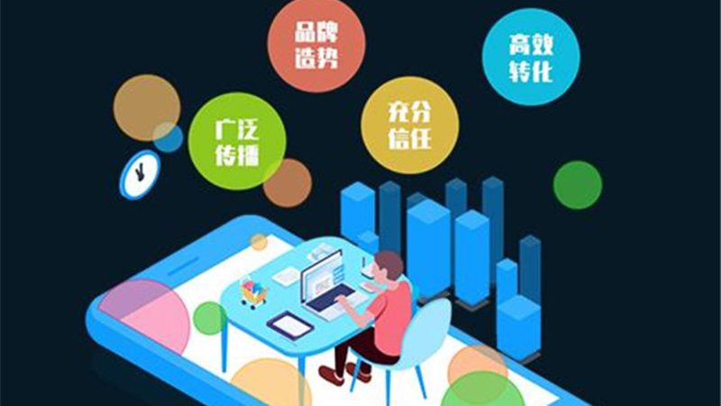 网站推广定制方案：揭秘中小企业高效排名之道