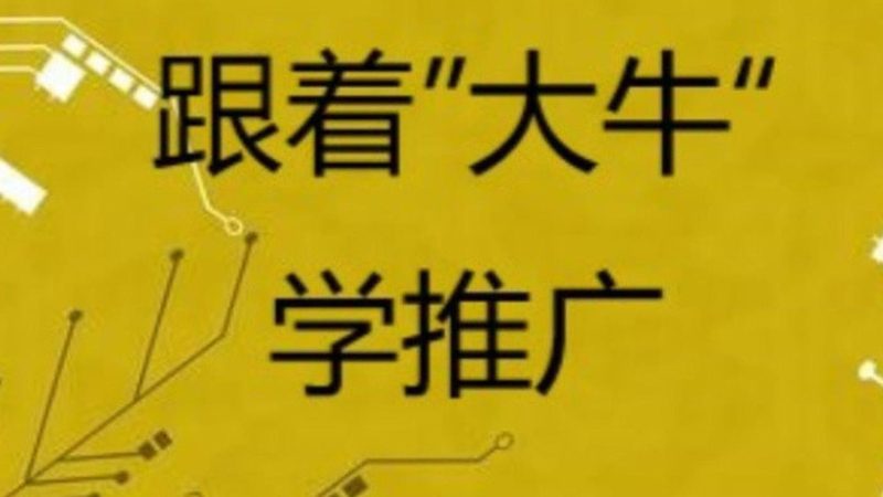 行业现状：网络营销的多元化发展