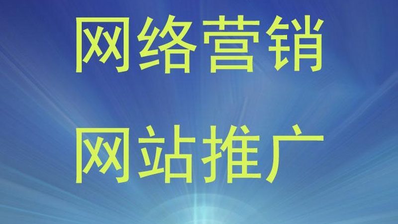 电商全网营销推广费用：如何精准预算与高效转化**